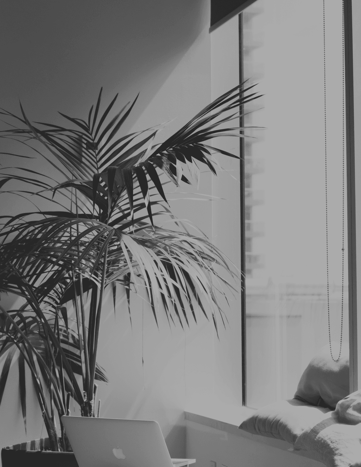 Decorative background